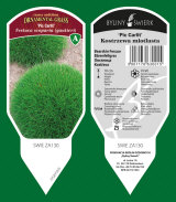 BYLINY-ŚWIERK Zierpflanzen Stauden Grasfarne Kräuter Polen 22